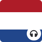 Niderlandzki dla początkujących